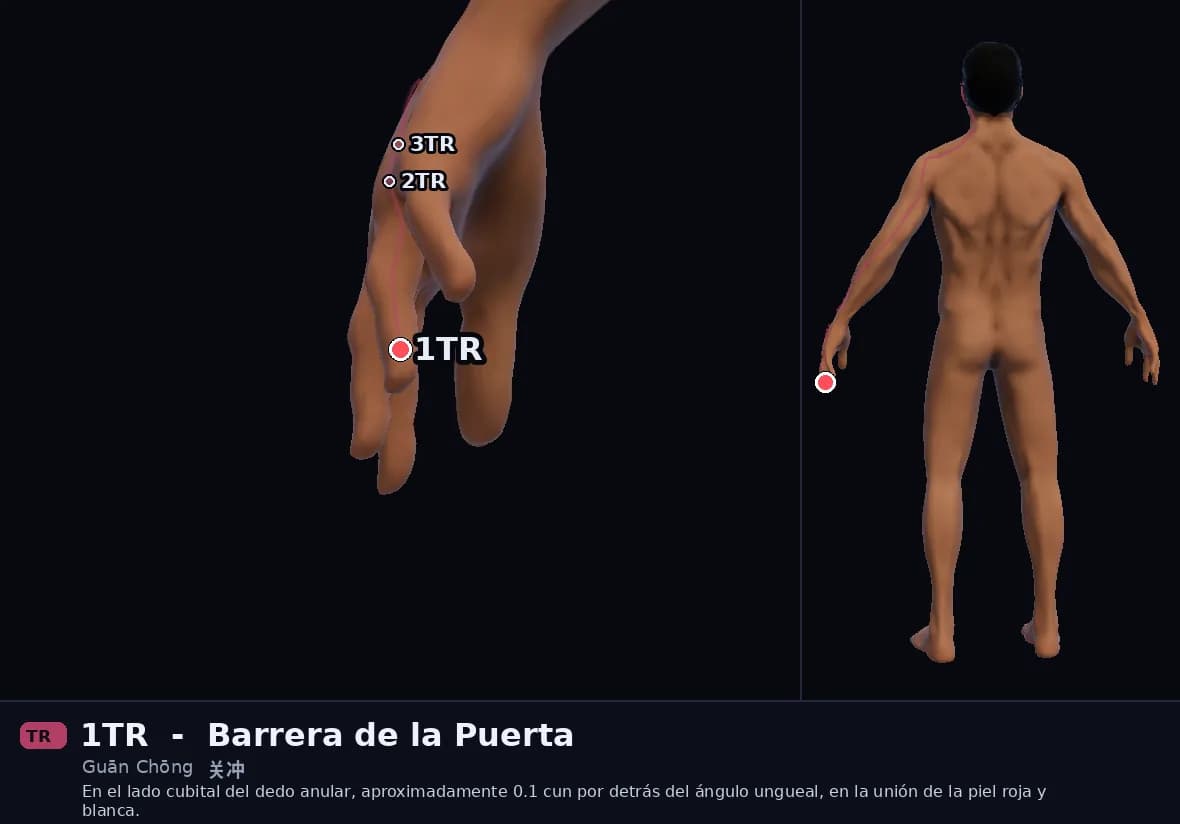 Localización del punto 1TR, Barrera de la Puerta
