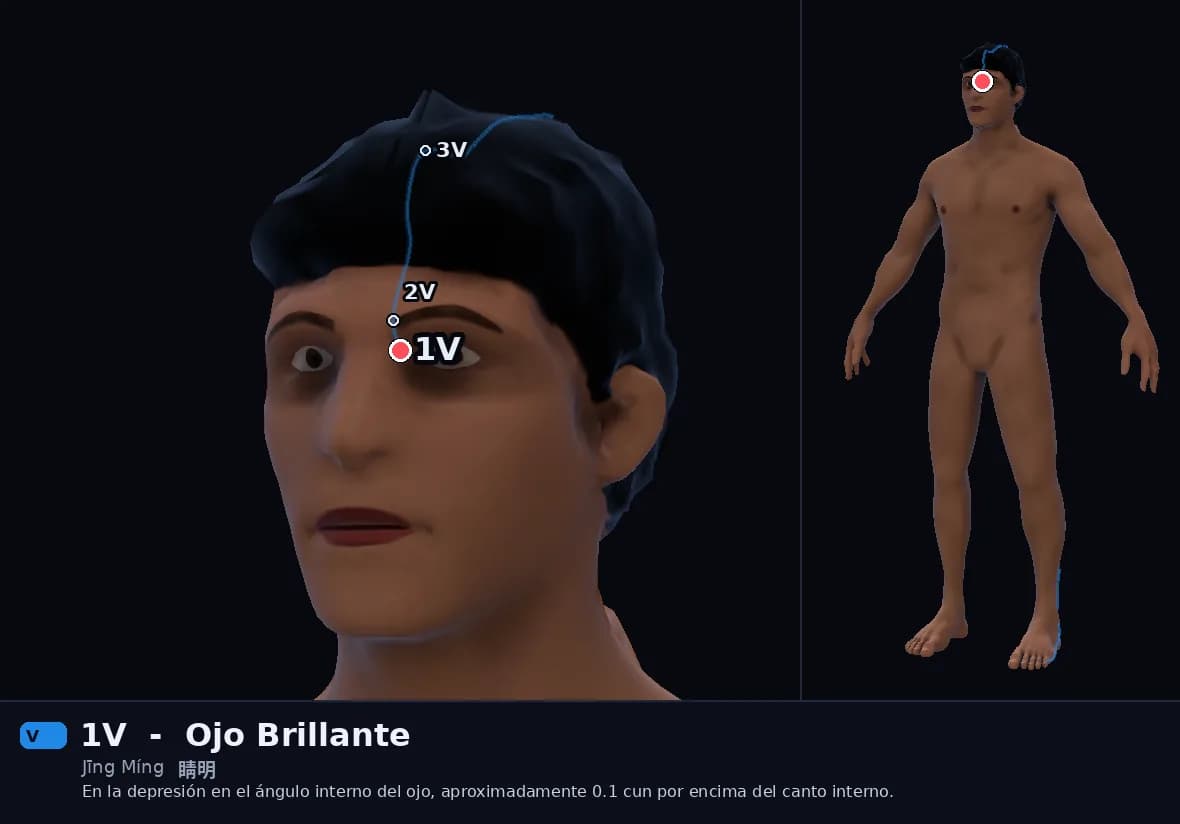 Localización del punto 1V, Ojo Brillante