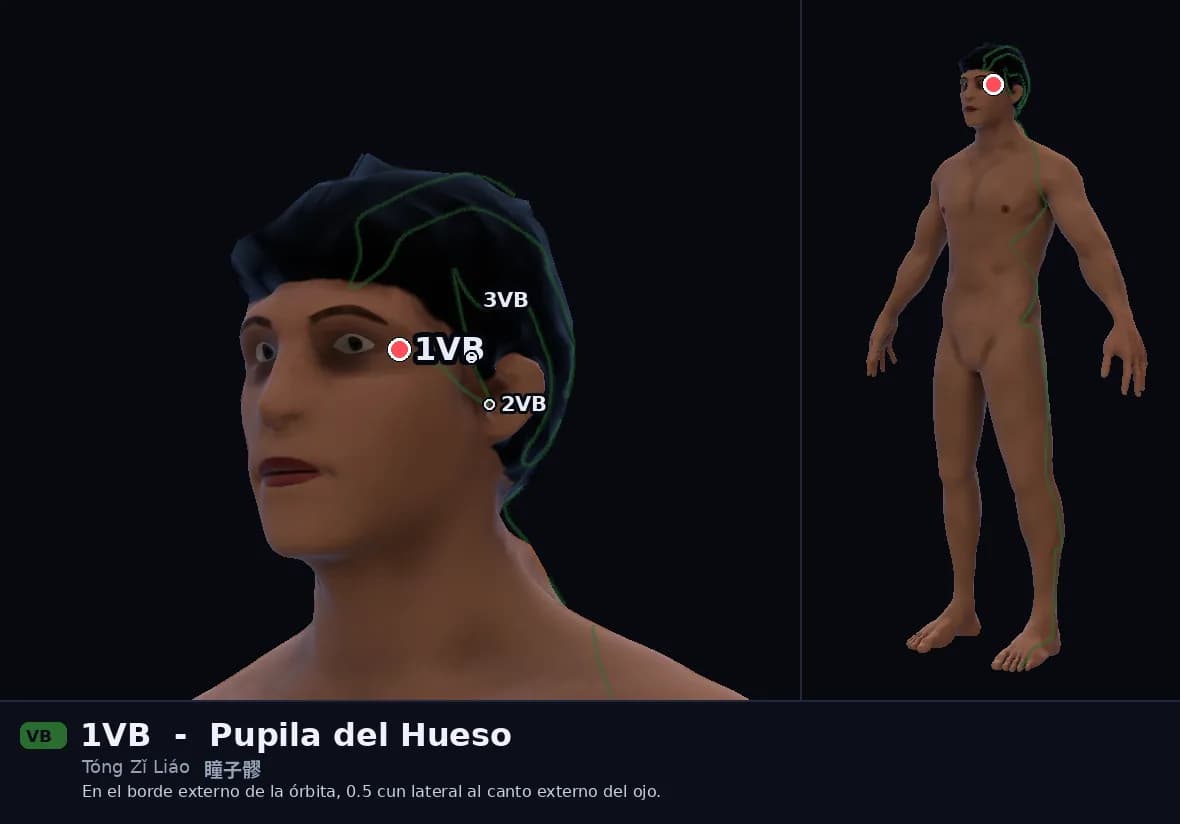Localización del punto 1VB, Pupila del Hueso