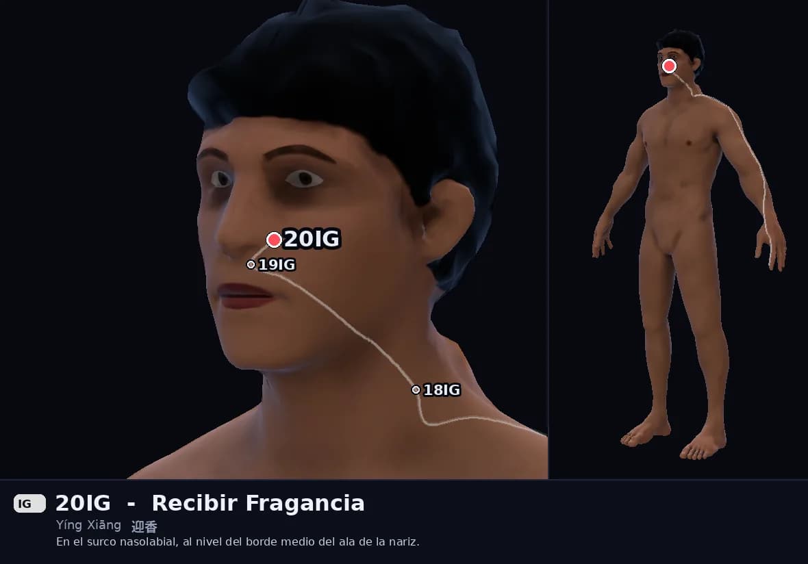 Localización del punto 20IG, Recibir Fragancia