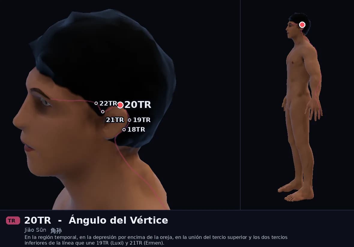 Localización del punto 20TR, Ángulo del Vértice