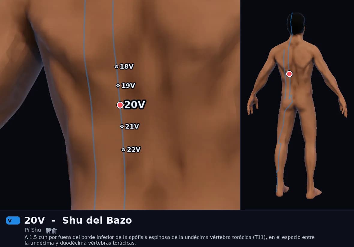 Localización del punto 20V, Shu del Bazo