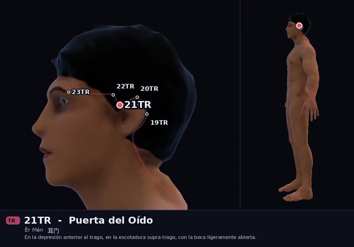 Localización del punto 21TR, Puerta del Oído