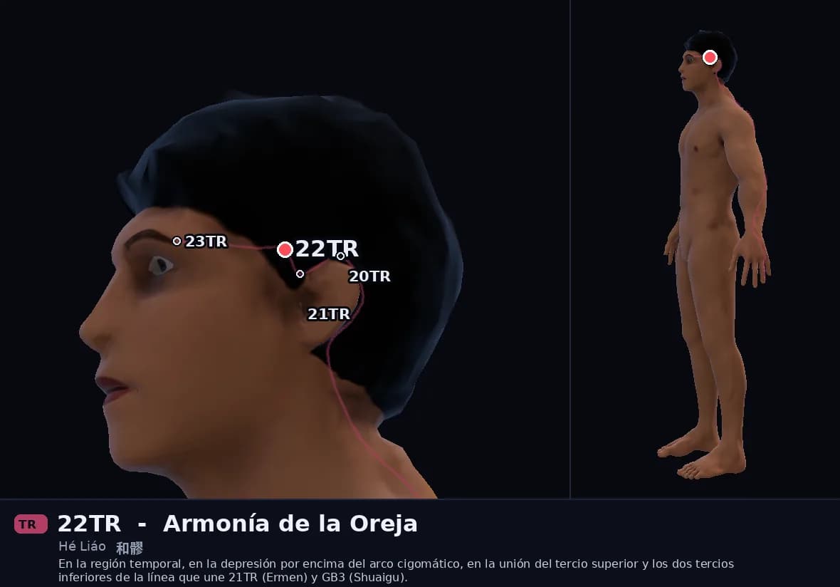 Localización del punto 22TR, Armonía de la Oreja