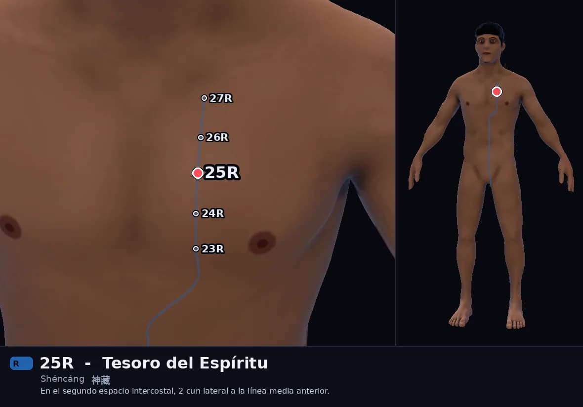 Localización del punto 25R, Tesoro del Espíritu