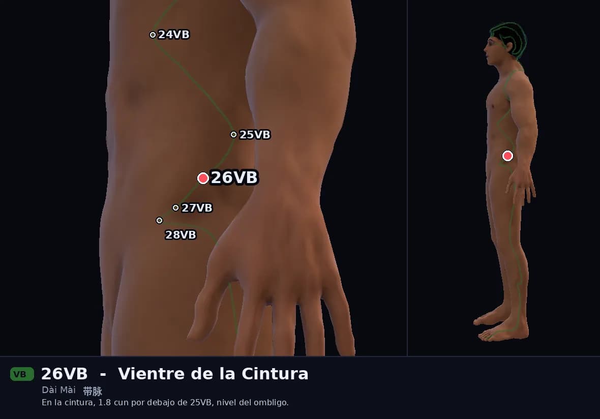 Localización del punto 26VB, Vientre de la Cintura