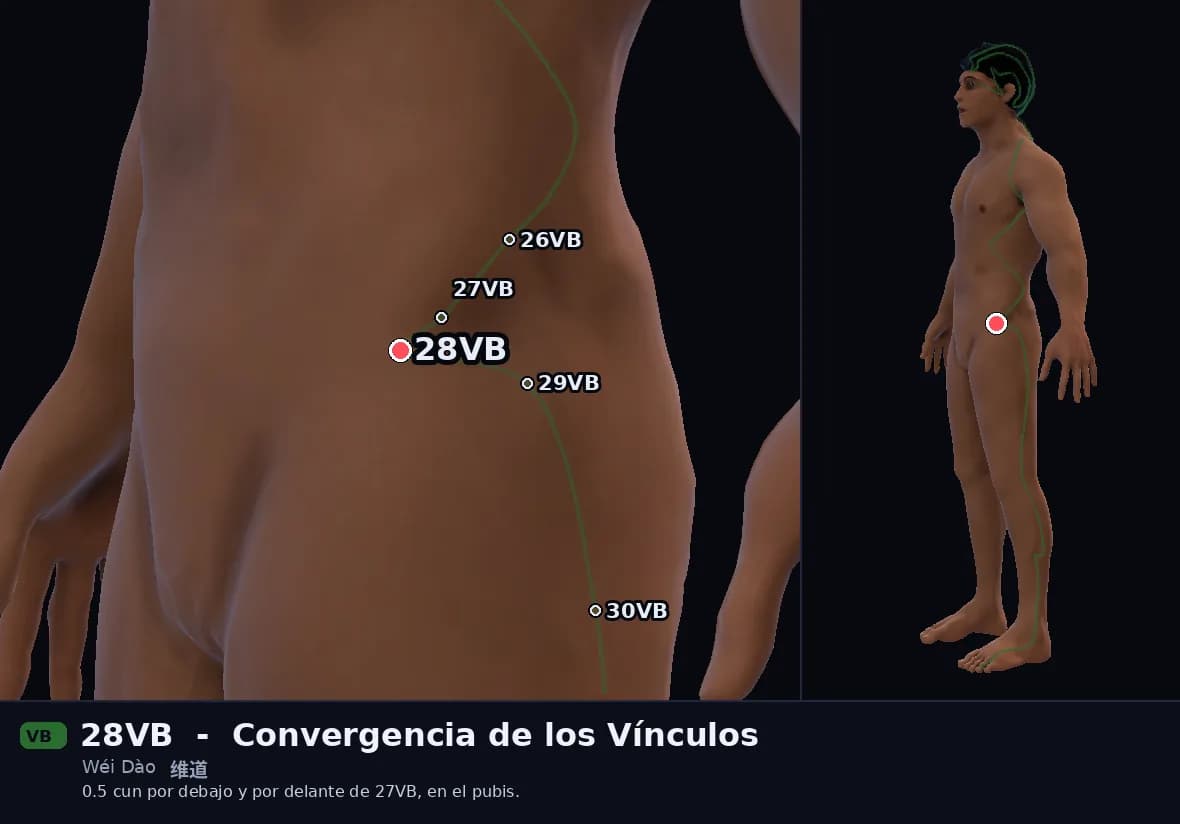 Localización del punto 28VB, Convergencia de los Vínculos