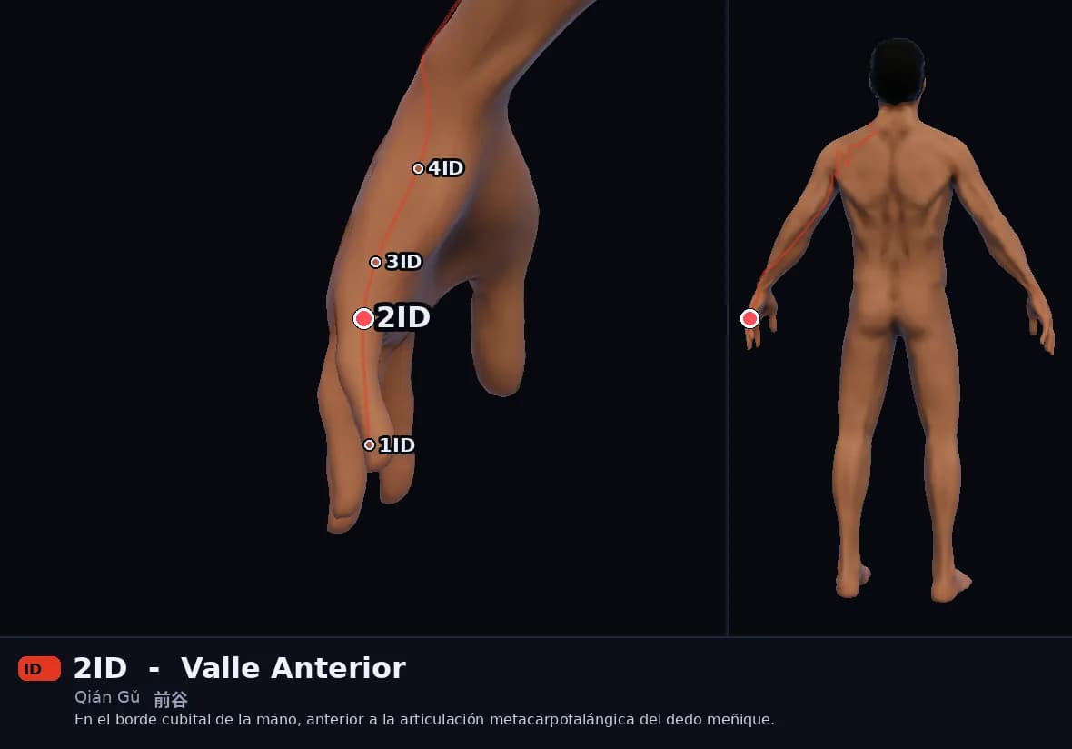 Localización del punto 2ID, Valle Anterior