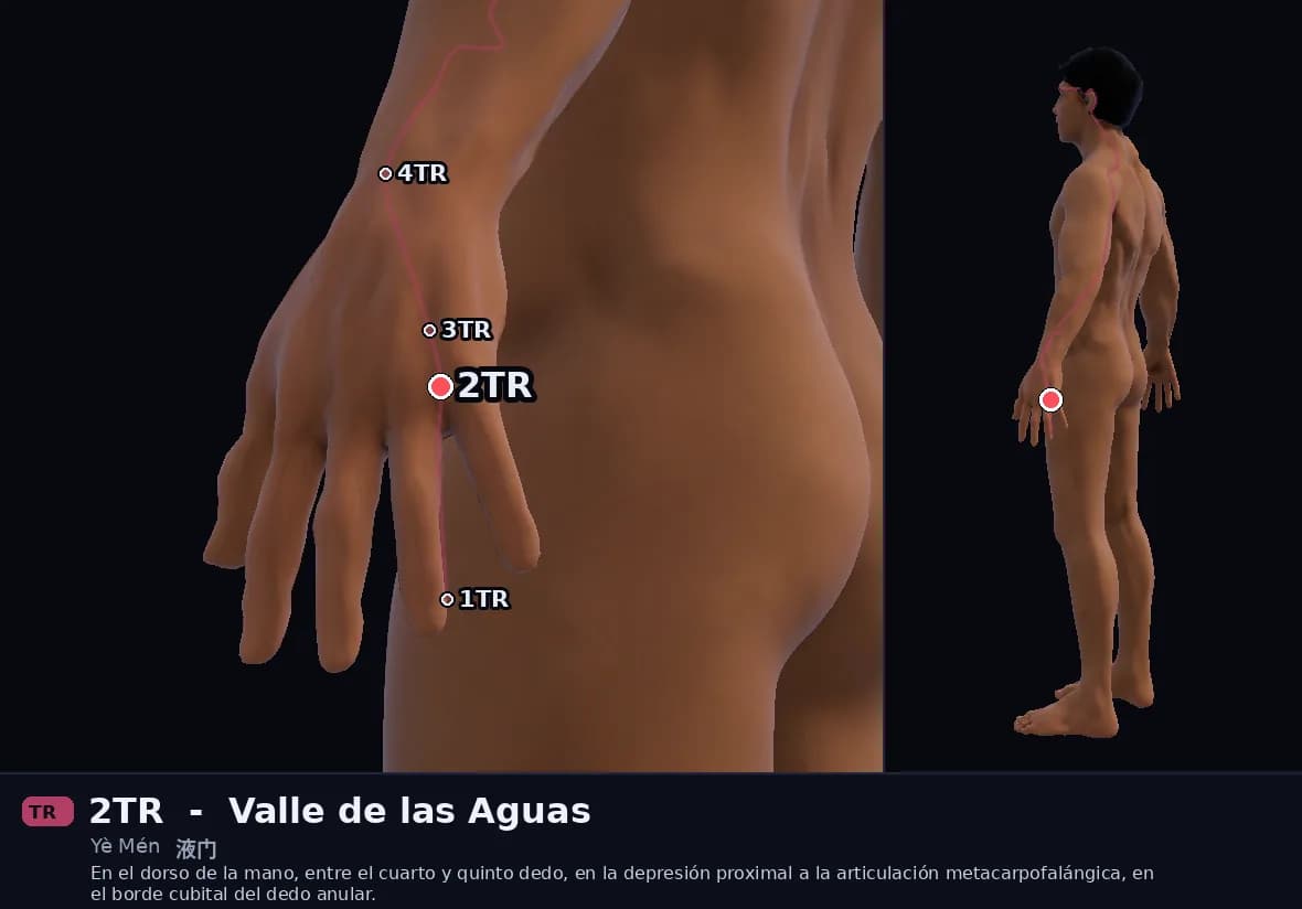 Localización del punto 2TR, Puerta de los Líquidos