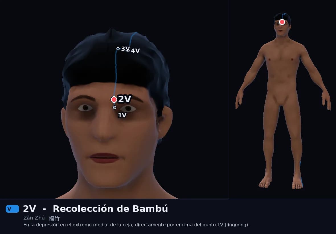 Localización del punto 2V, Recolección de Bambú