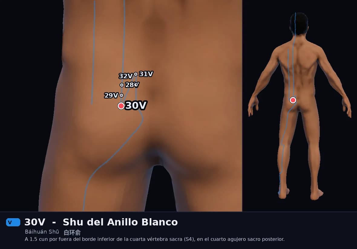 Localización del punto 30V, Shu del Anillo Blanco