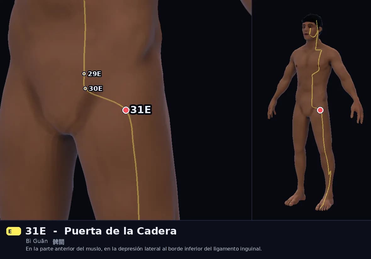 Localización del punto 31E, Puerta de la Cadera