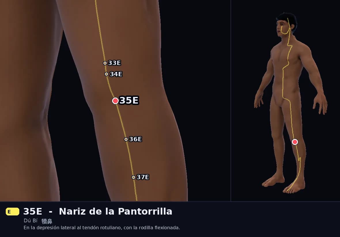Localización del punto 35E, Nariz de la Pantorrilla
