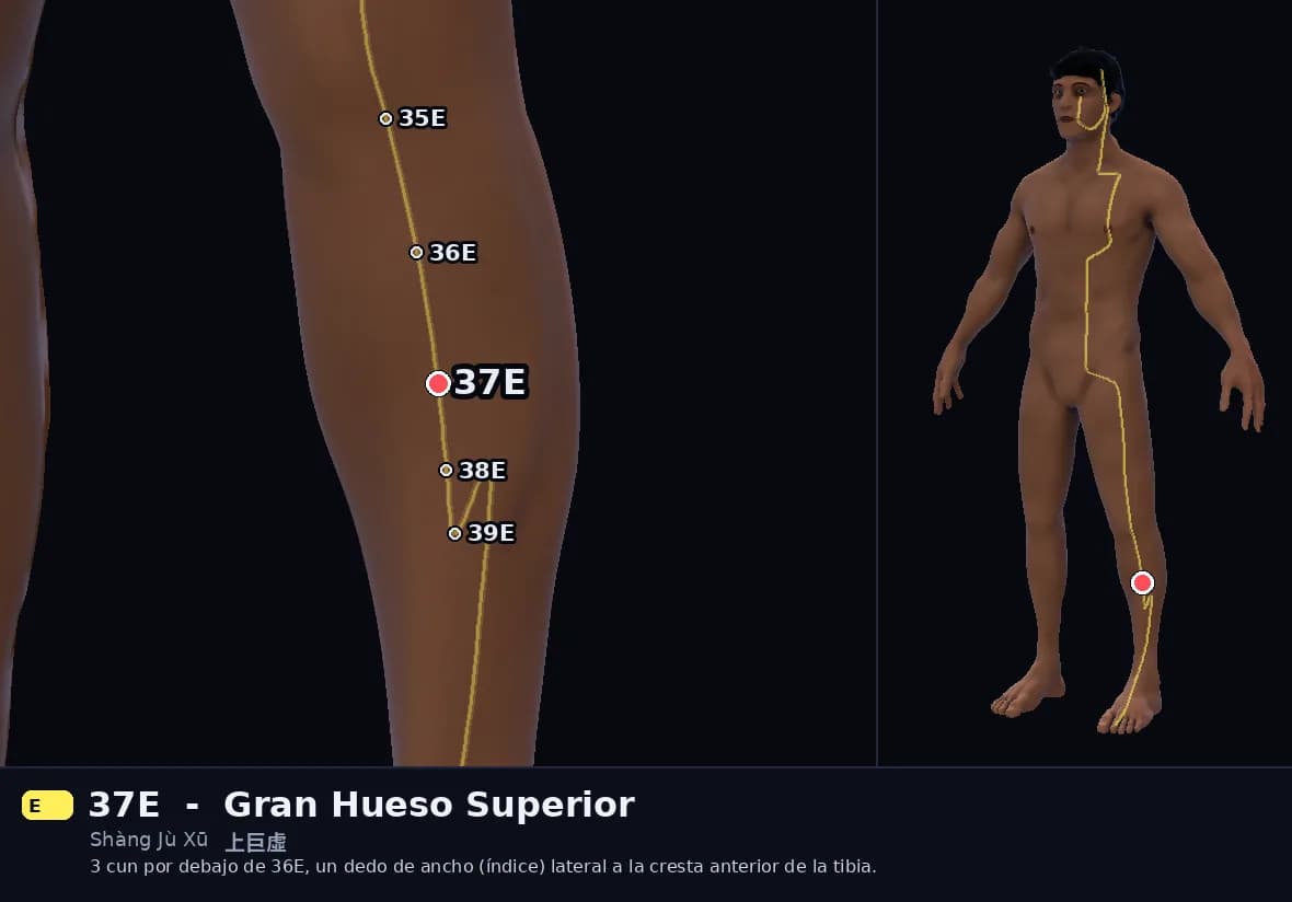 Localización del punto 37E, Gran Hueso Superior