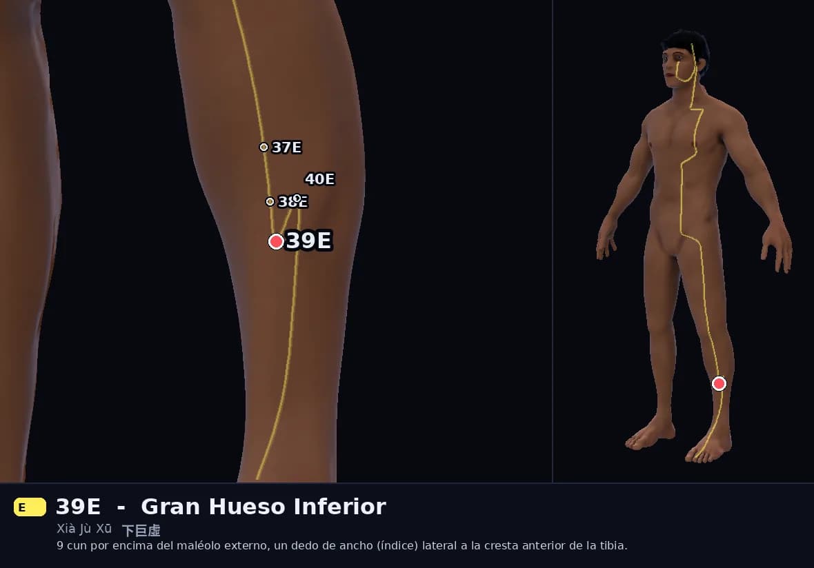 Localización del punto 39E, Gran Hueso Inferior