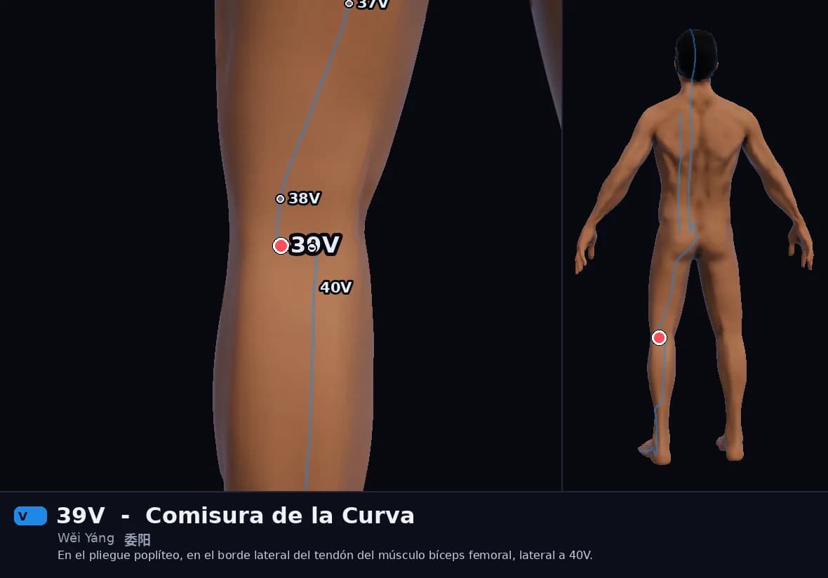Localización del punto 39V, Comisura de la Curva