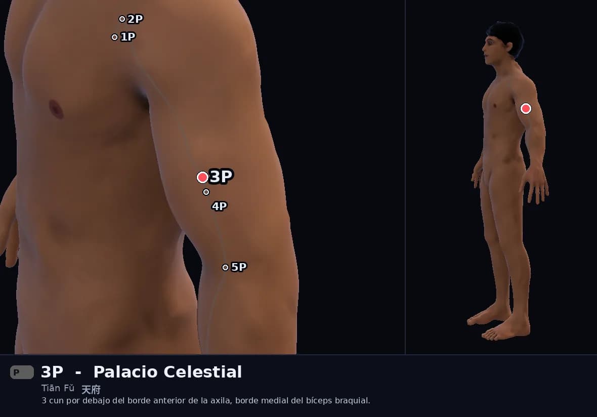Localización del punto 3P, Palacio Celestial