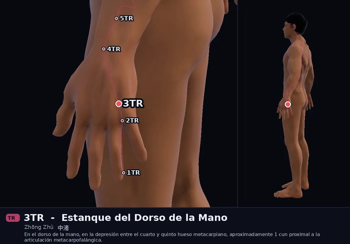 Localización del punto 3TR, Islote Central