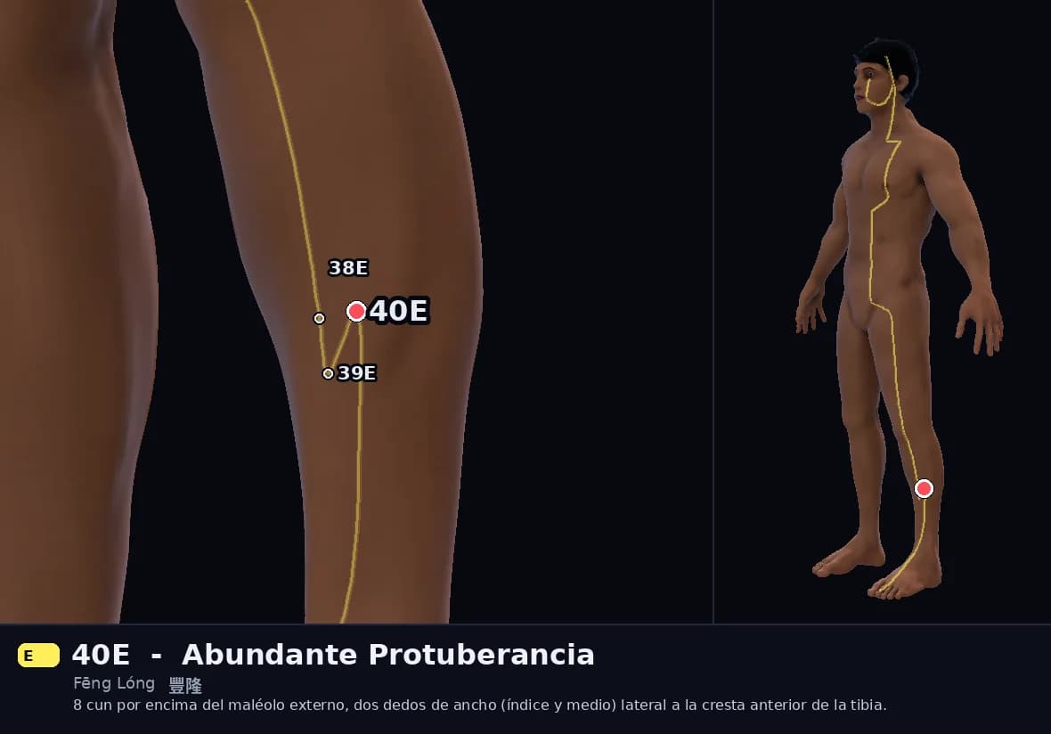 Localización del punto 40E, Abundante Protuberancia