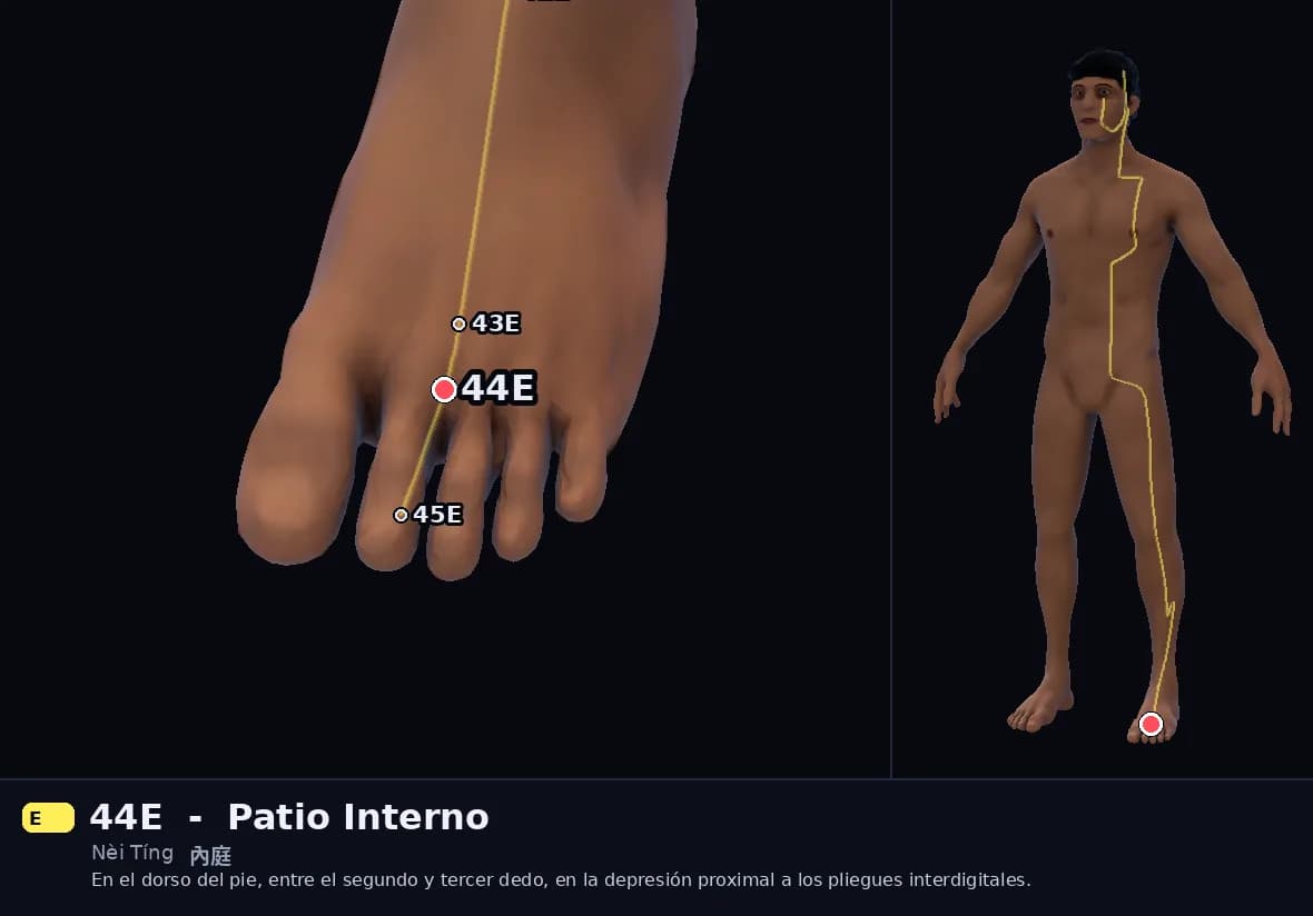 Localización del punto 44E, Patio Interno