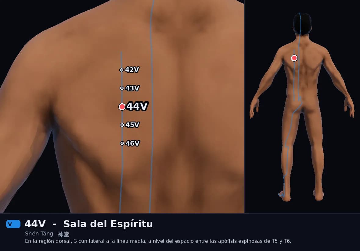 Localización del punto 44V, Sala del Espíritu