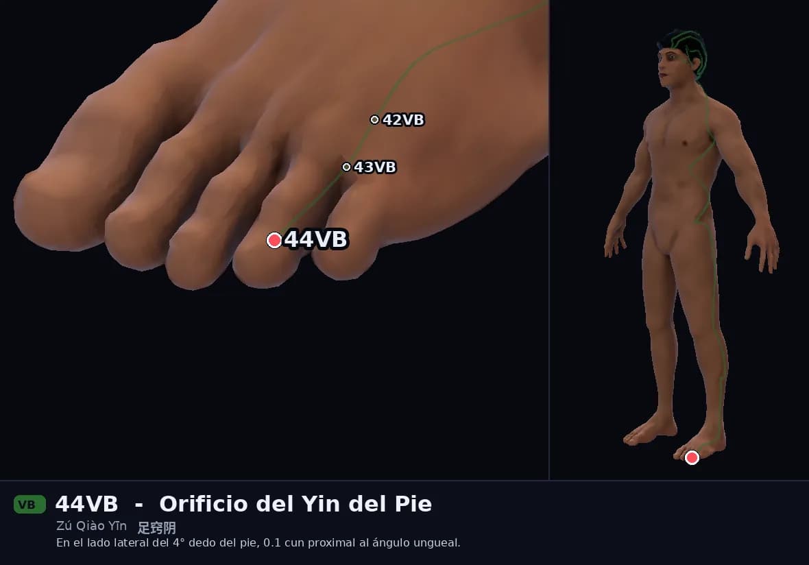 Localización del punto 44VB, Orificio del Yin del Pie