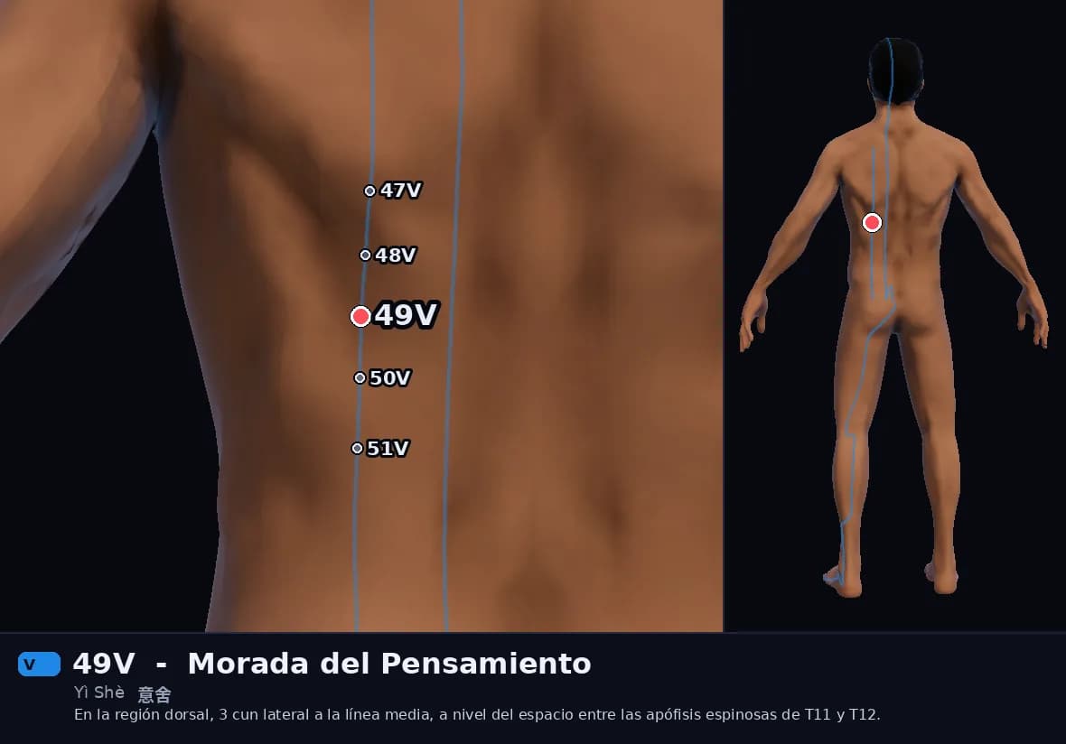 Localización del punto 49V, Morada del Pensamiento