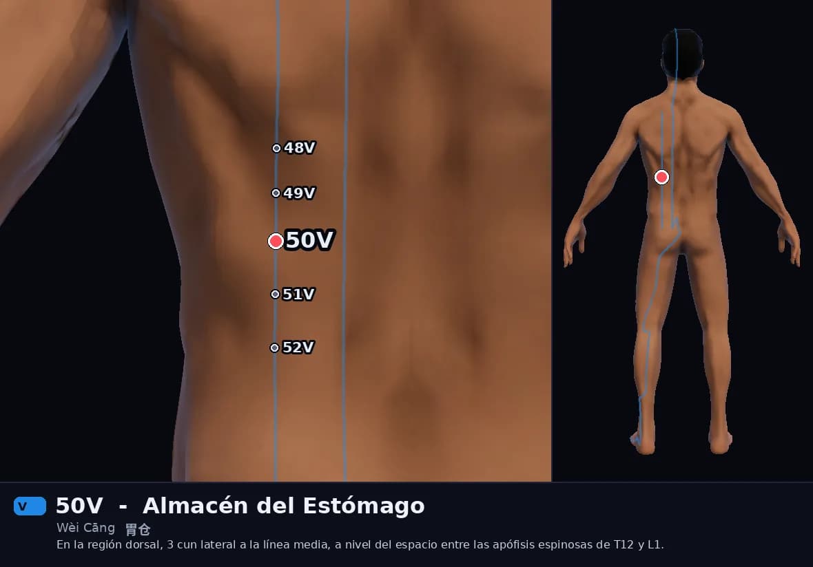 Localización del punto 50V, Almacén del Estómago