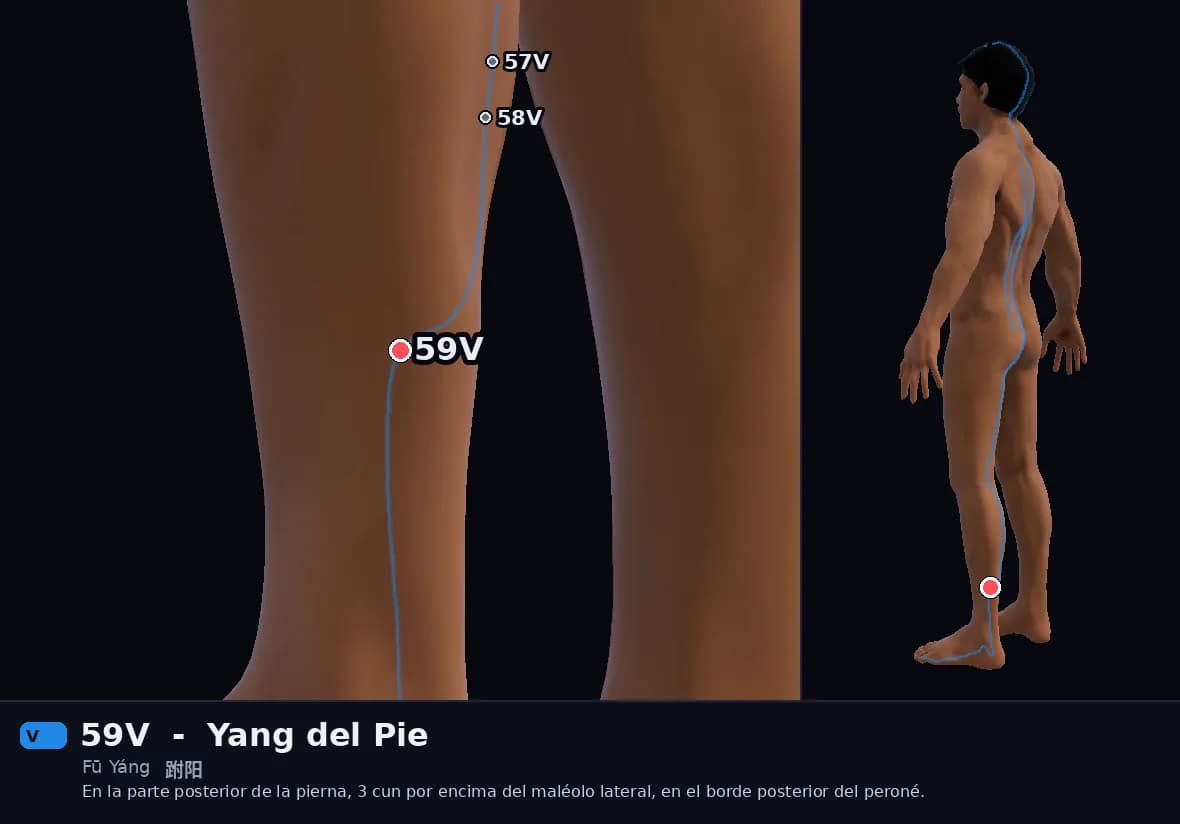 Localización del punto 59V, Yang del Pie