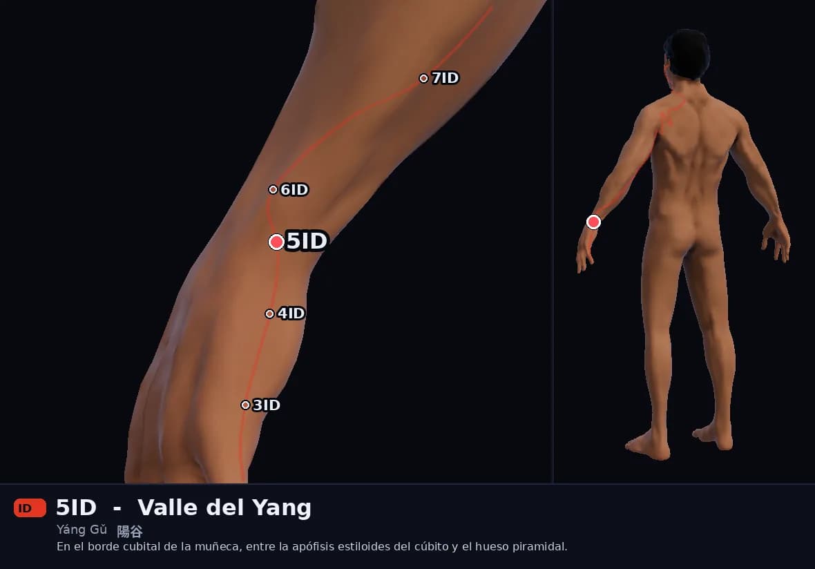 Localización del punto 5ID, Valle del Yang