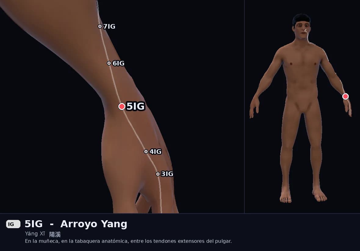 Localización del punto 5IG, Arroyo Yang