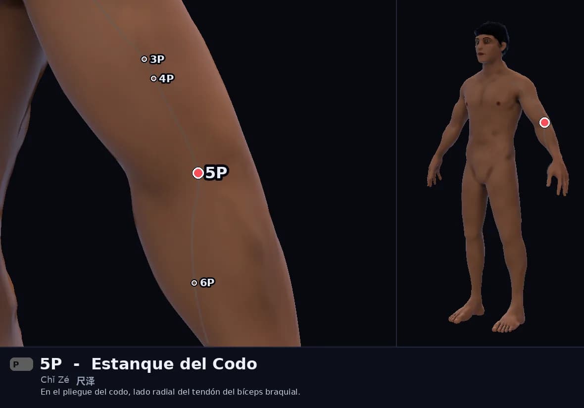 Localización del punto 5P, Estanque del Codo