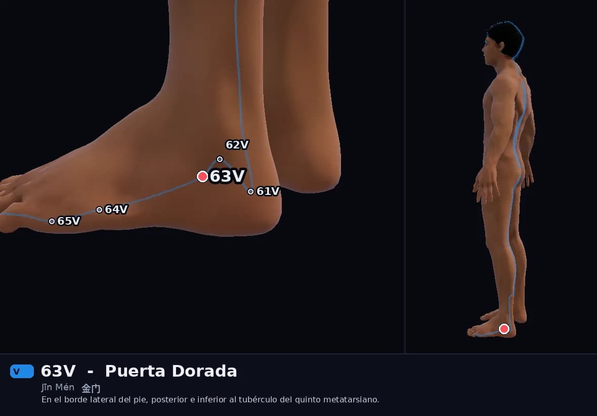 Localización del punto 63V, Puerta Dorada