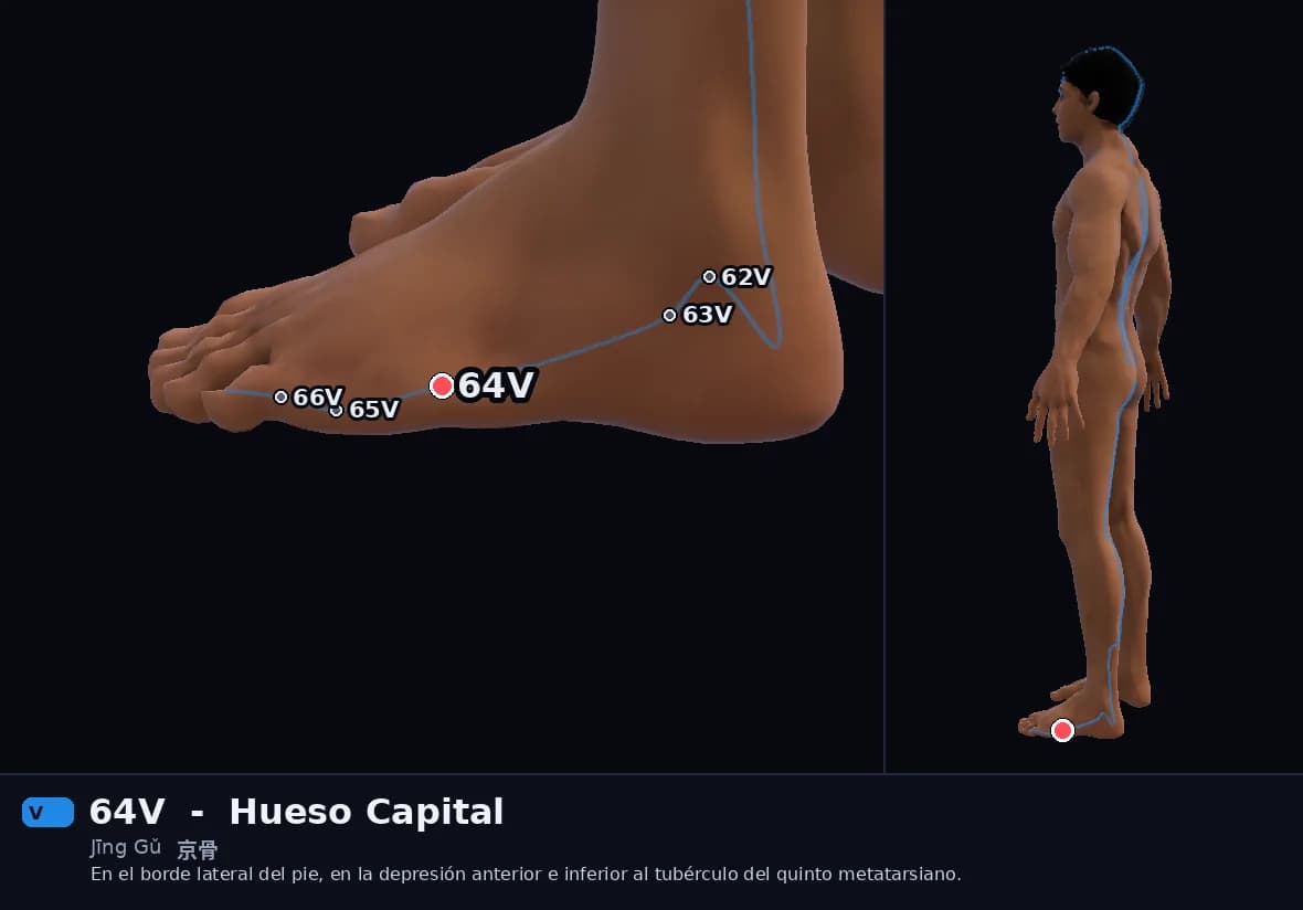 Localización del punto 64V, Hueso Capital
