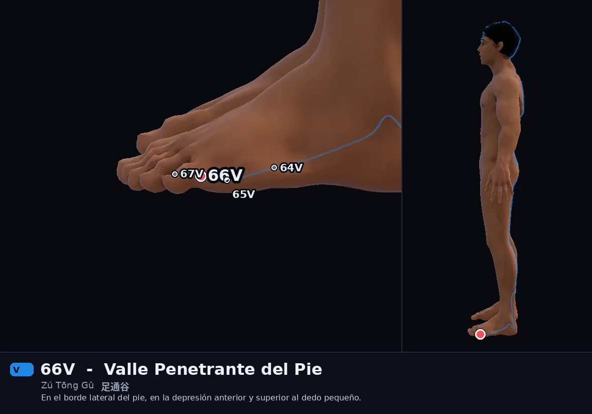 Localización del punto 66V, Valle Penetrante del Pie