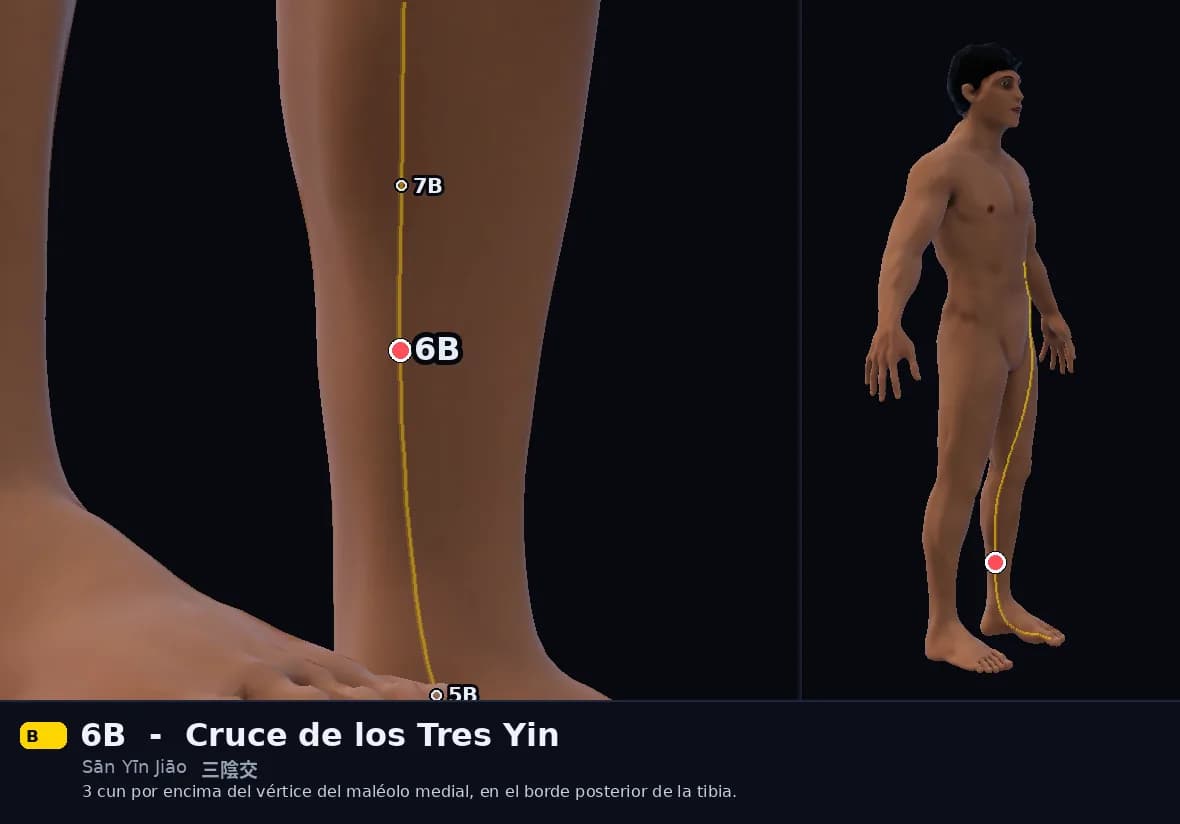 Localización del punto 6B, Cruce de los Tres Yin