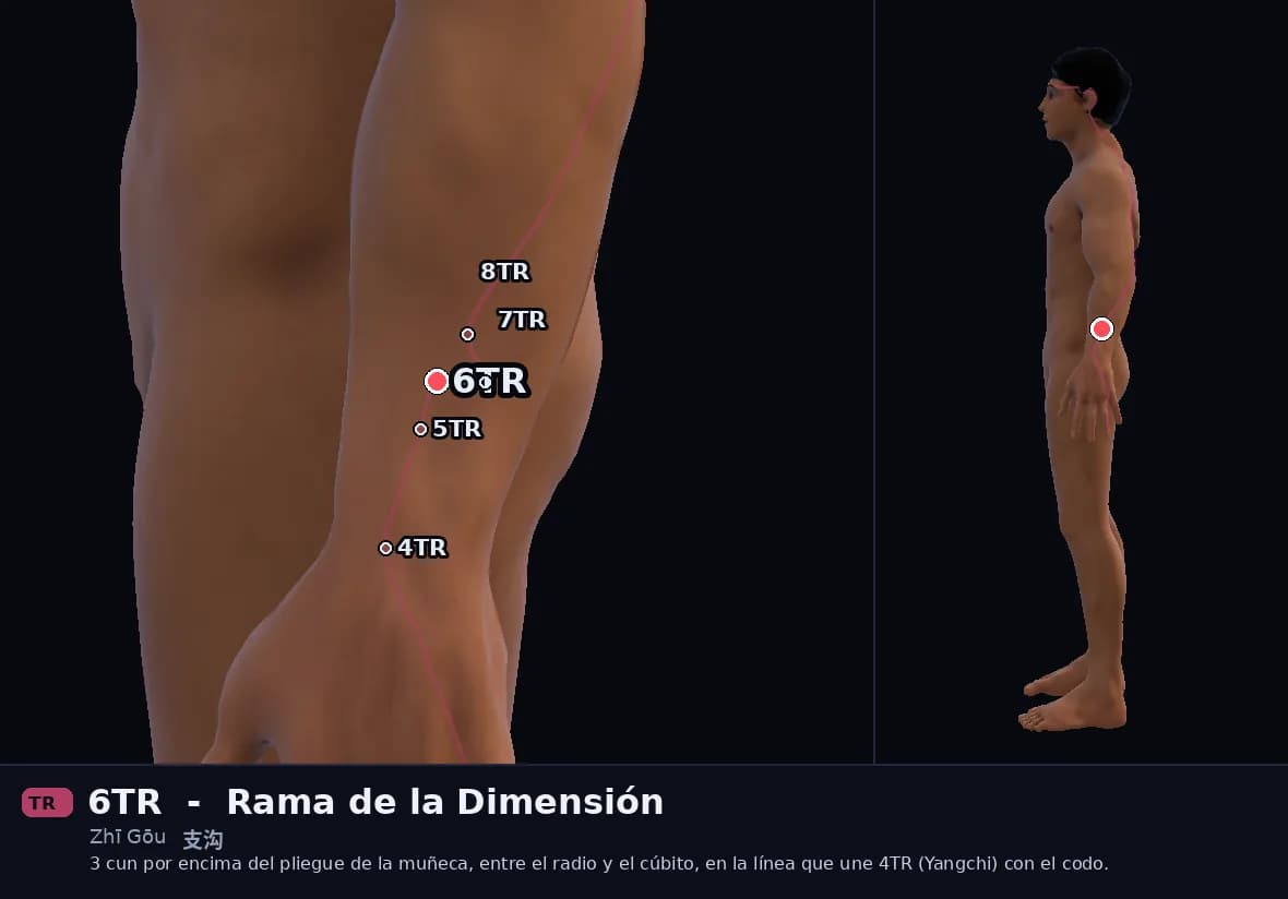 Localización del punto 6TR, Zanja Ramificada