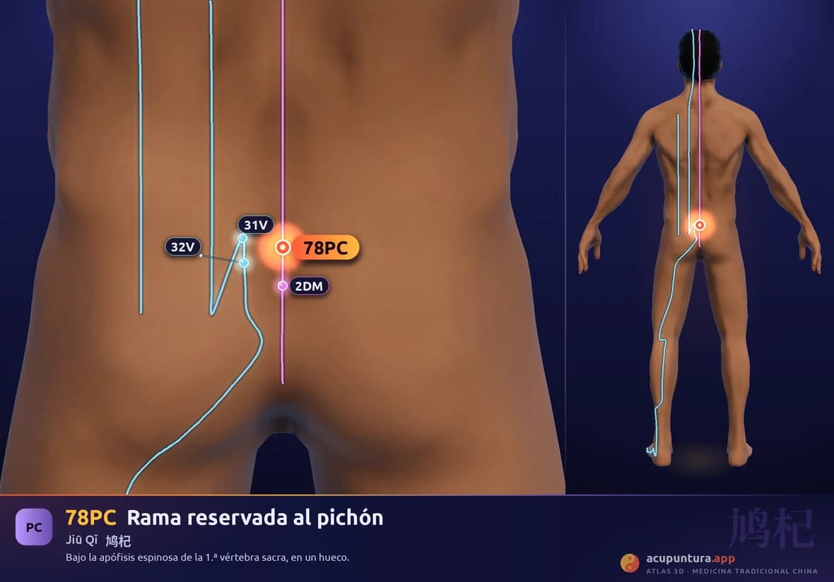 Localización del punto 78PC, Rama reservada al pichón