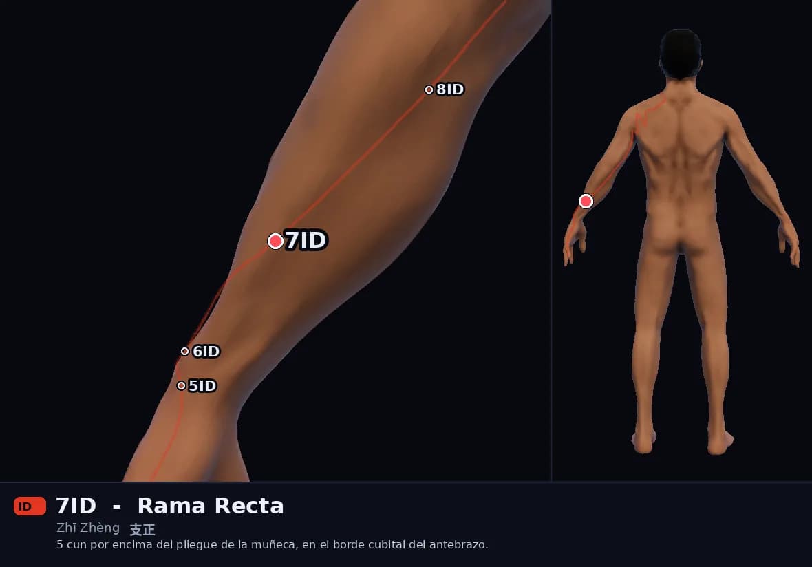Localización del punto 7ID, Rama Recta