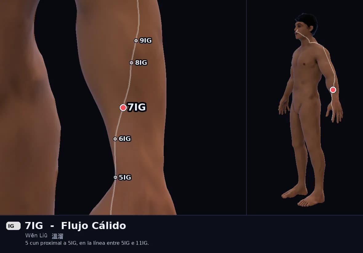 Localización del punto 7IG, Flujo Cálido