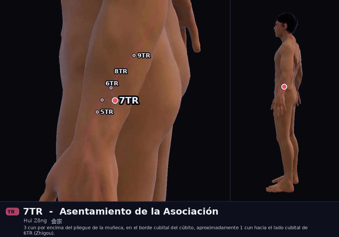Localización del punto 7TR, Convergencia de los Ancestros