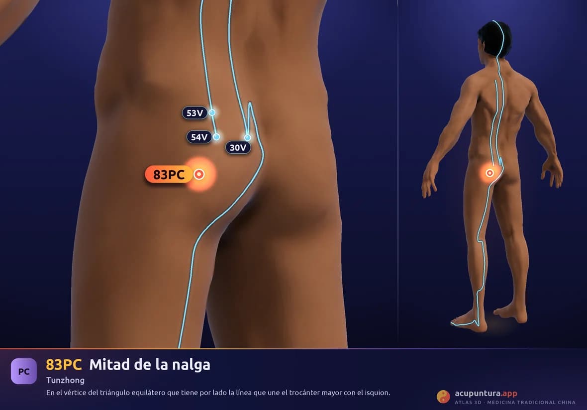 Localización del punto 83PC, Mitad de la nalga