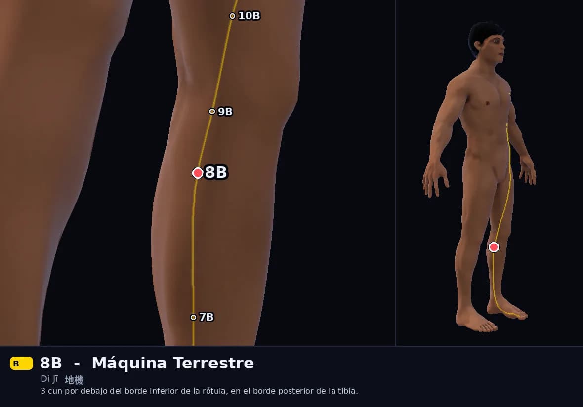 Localización del punto 8B, Máquina Terrestre