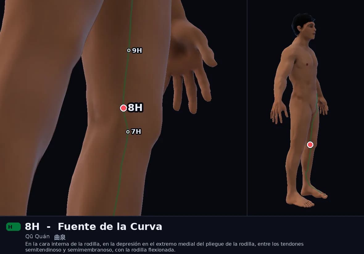 Localización del punto 8H, Fuente de la Curva