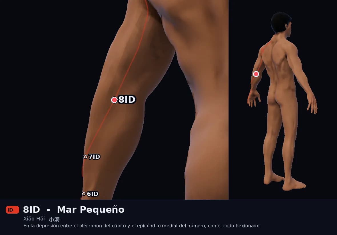 Localización del punto 8ID, Mar Pequeño
