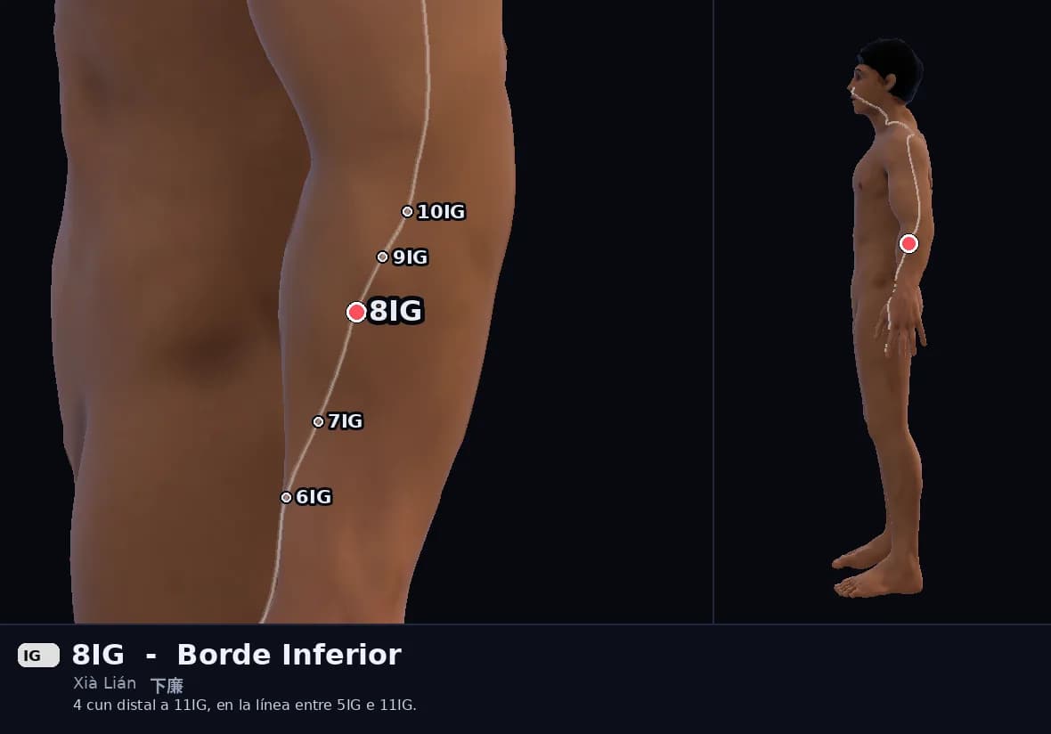 Localización del punto 8IG, Borde Inferior