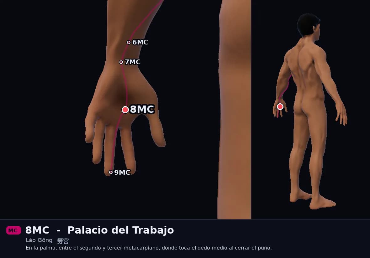 Localización del punto 8MC, Palacio del Trabajo
