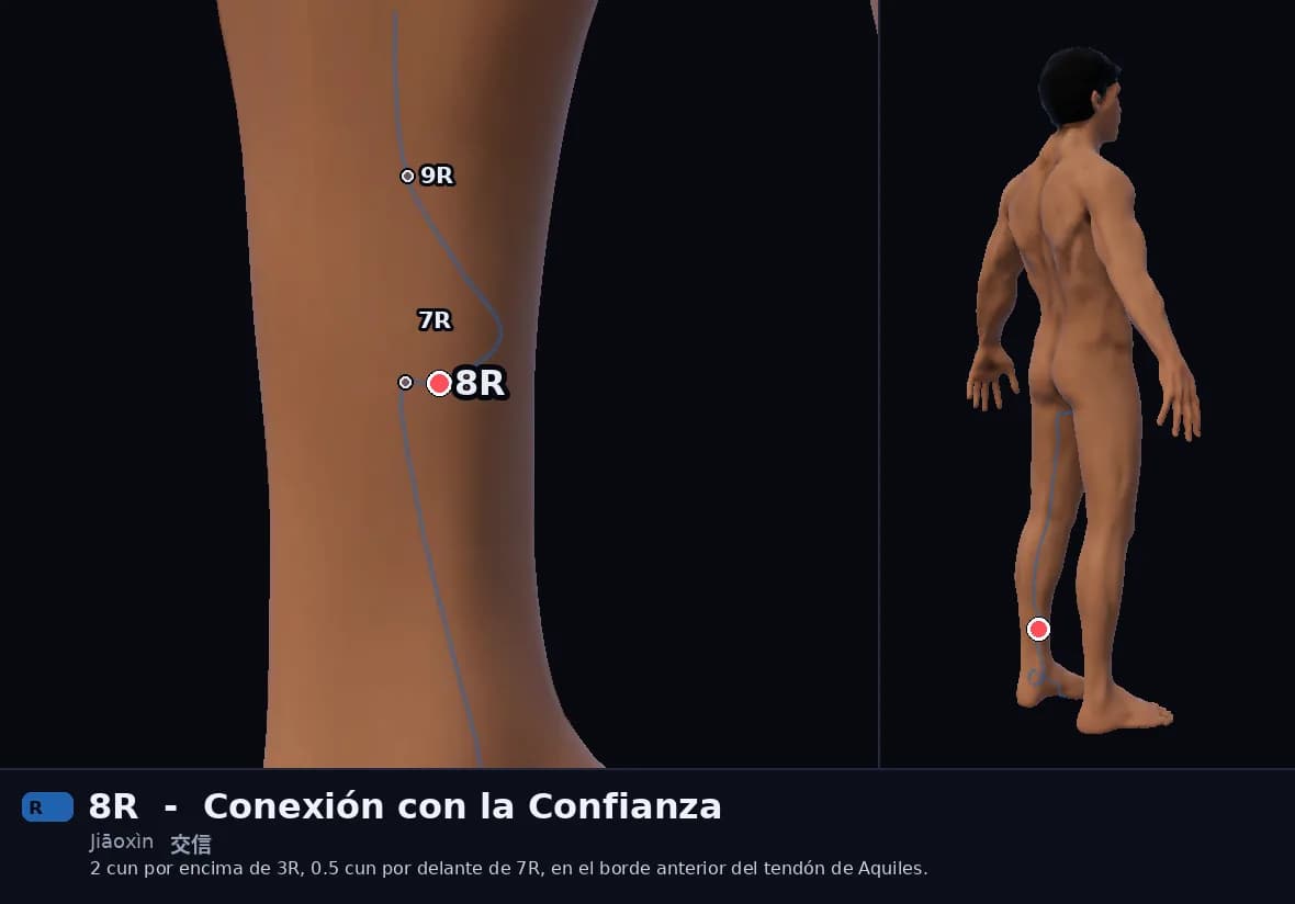 Localización del punto 8R, Conexión con la Confianza