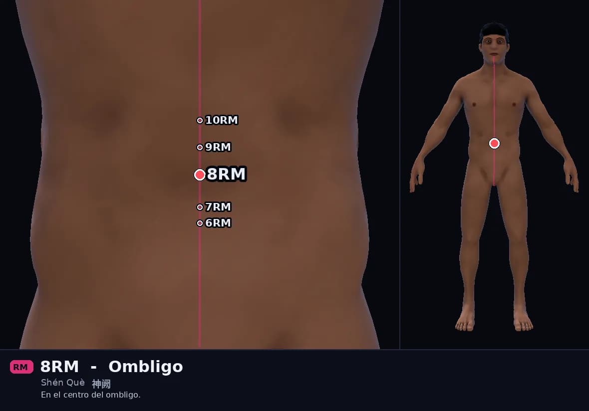 Localización del punto 8RM, Ombligo