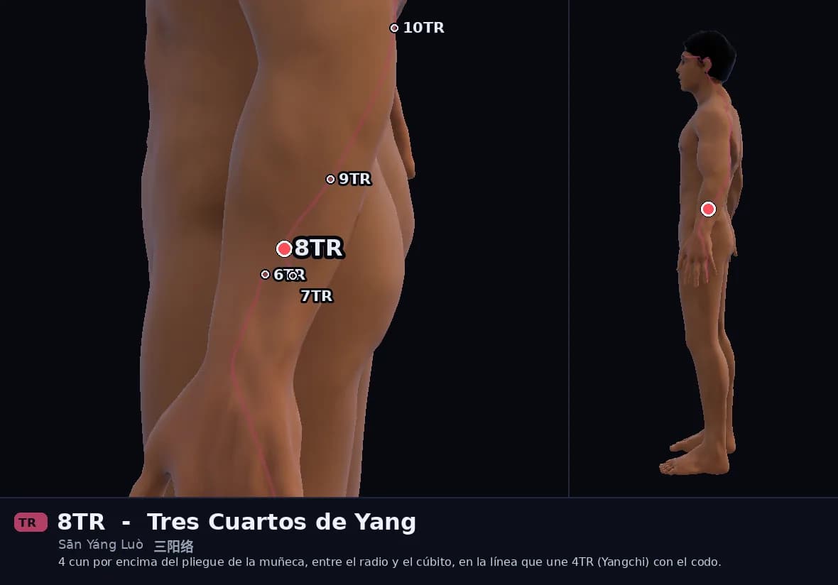 Localización del punto 8TR, Conexión de los Tres Yang